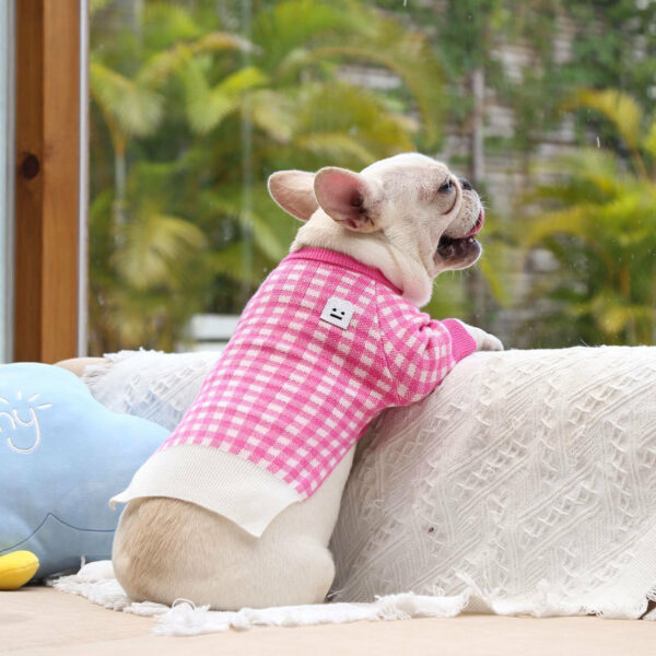 New Pet Clothing Products Keep Warm - Image 2